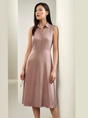 Lilysilk Mulberry Silk Shirtwaist Dress S Collar Belt Minimalist Capsule Mauve